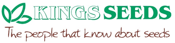 Kings Seeds Logo